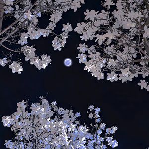 扒开胸罩疯狂捏胸吃奶头视频大全
